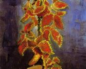 文森特 威廉 梵高 : 花盆里的彩叶植物